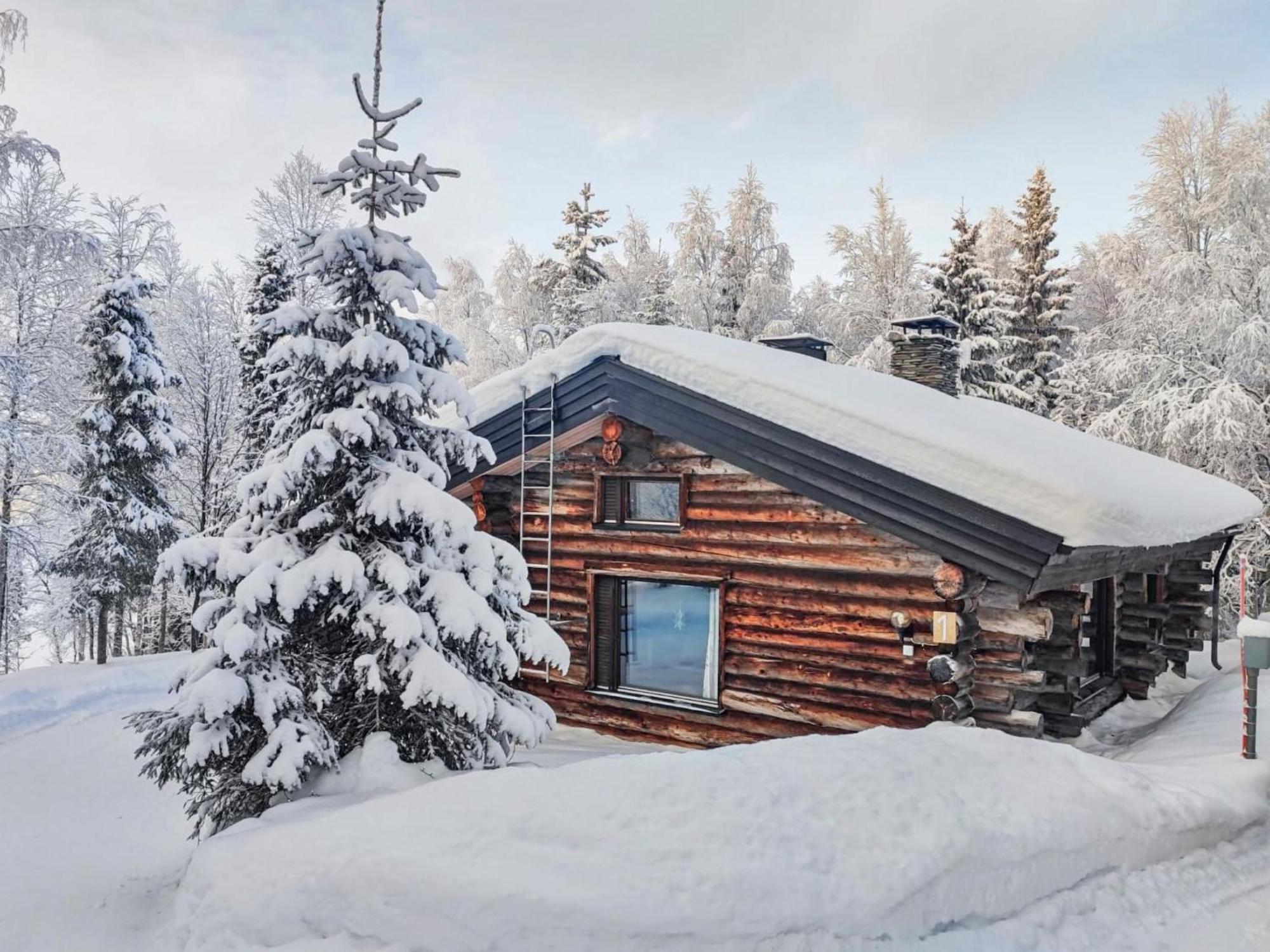 Holiday Home Hallan kelo Ruka Dış mekan fotoğraf